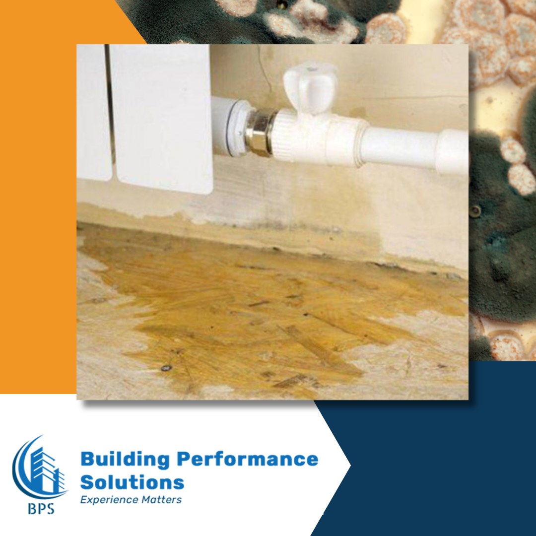 NAVIGATING POST-FLOOD RECOVERY: MOISTURE CONTROL AND MOLD PREVENTION