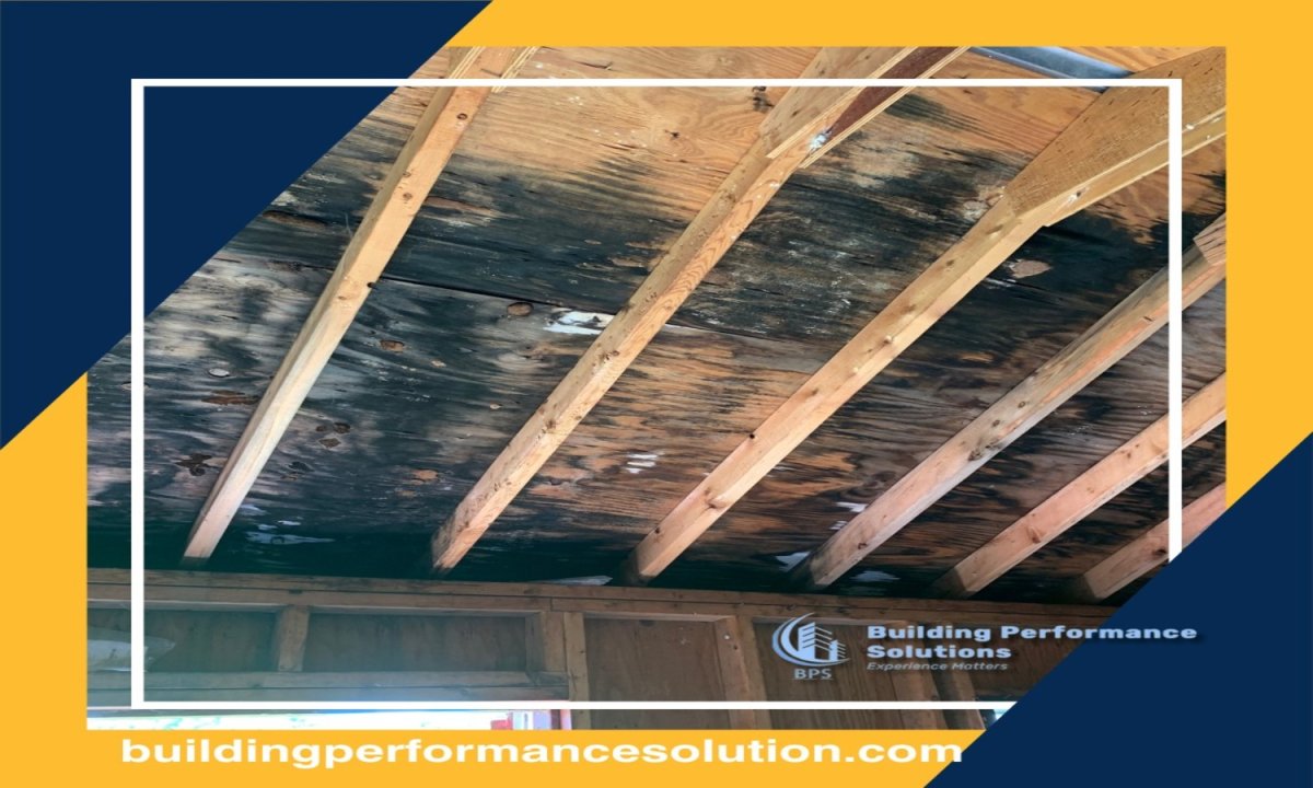 ATTIC MOLD IN SPRING — A COMMON PROBLEM WITH SOLUTIONS 